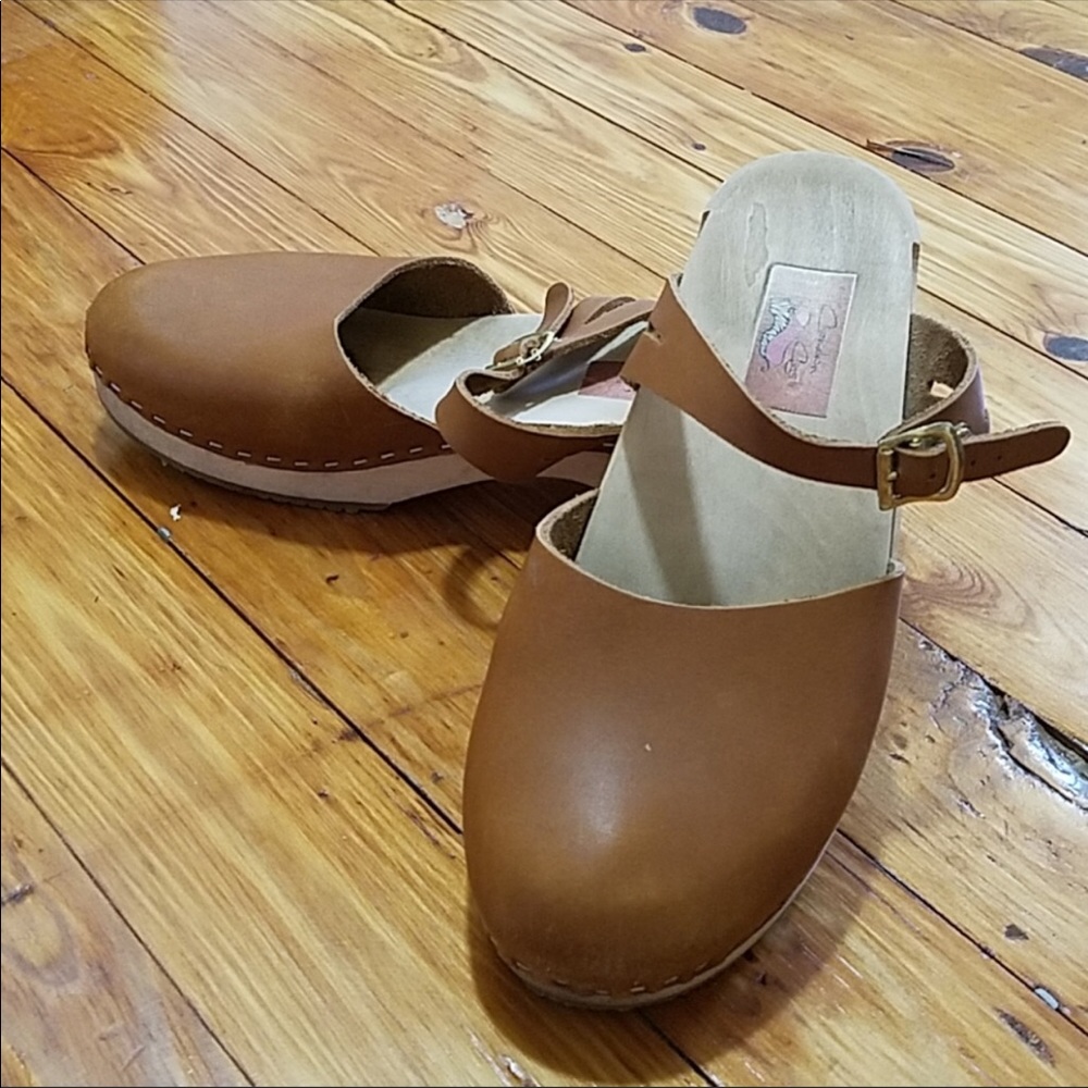 Chameleon Clogs 10